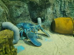 -大连老虎滩海洋公园