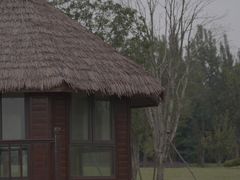 -白鹭湾湿地公园