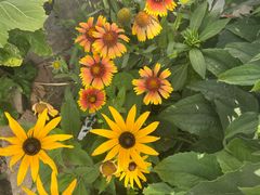 -天津东丽湖风景区