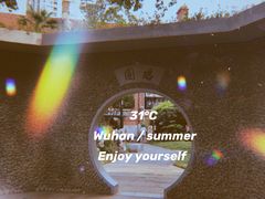 -殷姐糯米包油条