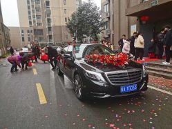 -蚂蚁婚车