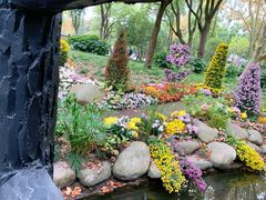 -上海共青森林公园