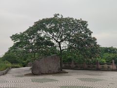 -南北湖风景区