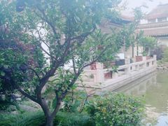-碧丽宫大酒店(召稼楼店)