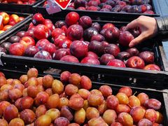 -沃尔玛超市(北大街店)