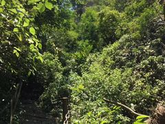 -七仙岭温泉国家森林公园