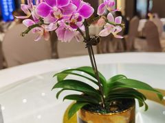 -顺德渔村·岭南一号