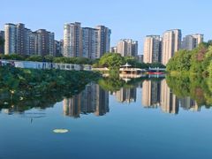 -新江湾城公园