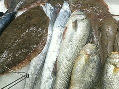 -渔码头食府(蓬莱阁店)