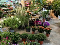 -双季花艺园艺市场(浦东店)