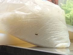 -上清·三文鱼鲜寿司(同德店)