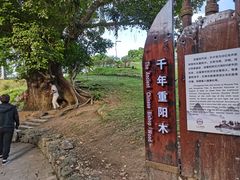 -蔡家宅