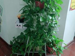 -自然之声助听器·呼吸机(和平店)