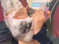 -美联众合动物医院·24h京西诊疗中心