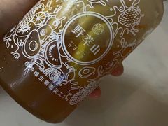 -野萃山·潮汕厚果汁(十亩地店)