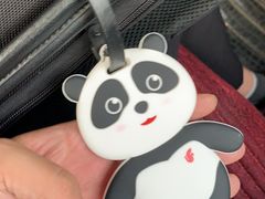 -乌鲁木齐天山国际机场-T3航站楼