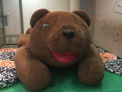 -济州岛泰迪熊博物馆