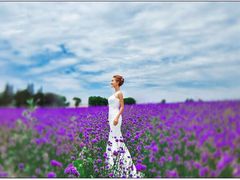 东方普罗旺斯薰衣草庄园-北京东方普罗旺斯薰衣草庄园