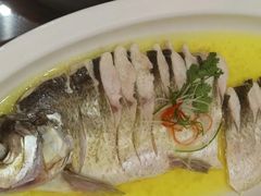 -鲁宴·鲁煨黄河生态大鲤鱼(月坛店)