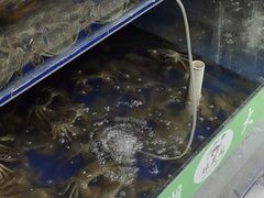 -阳澄湖大闸蟹·琼灵阁牌品牌连锁(吴中总店)