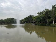 -大湾区中央湿地公园
