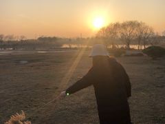 -合肥滨湖国家森林公园