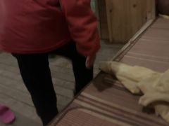 -咸宁万豪温泉谷度假区