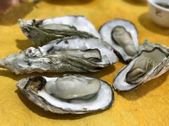 桑拿蚝-蚝专家(北滘店)