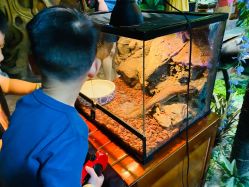 -酷嗒动物文化乐园(cutezoo西溪乐天城店)