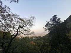 -北京鹫峰国家森林公园