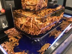 -蟹道乐(道顿堀本店)