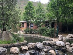 -白水寺森林公园