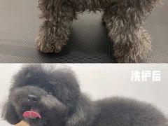 -comecome来吧宠物(奥克斯中心店)