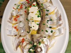 清蒸如意白鱼-欣旺·迎宾楼·百年无锡菜