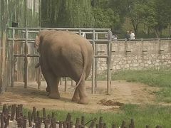 -西安秦岭野生动物园