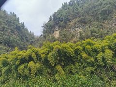 -车溪民俗旅游区