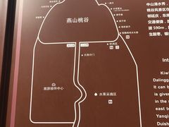 -大岭沟猕猴桃谷风景区