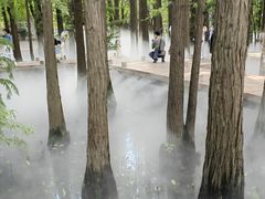 -东湖落雁景区