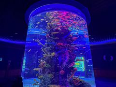 -石家庄极地海洋世界