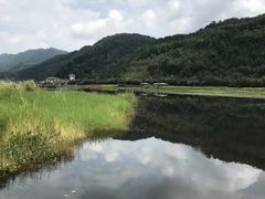 -腾冲北海湿地
