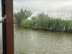 -宁波杭州湾国家湿地公园