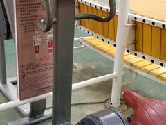 -和平区健康主题公园