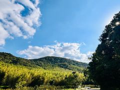 -南京市无想山景区