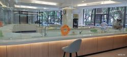 -宝生月子中心·独栋独院式(南山店)