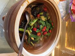 甲鱼-金熙楼(熙南里店)