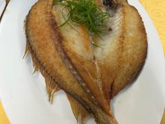 东海黄花鱼（香煎）-海鲜街菜馆(海珠南路店)
