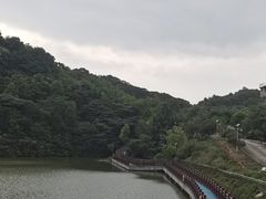 -黄埔油麻山森林公园