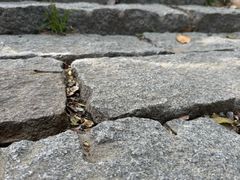 -游子山休闲旅游区