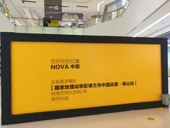 -岭南站NOVA
