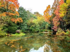 -杭州半山国家森林公园